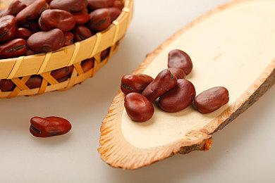 虚幻5《恶魔之魂2》粉丝概念预告 壮阔场景让人赞叹